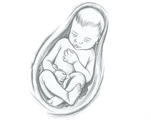 La terapia en bebés y niños La terapia en bebés y niños